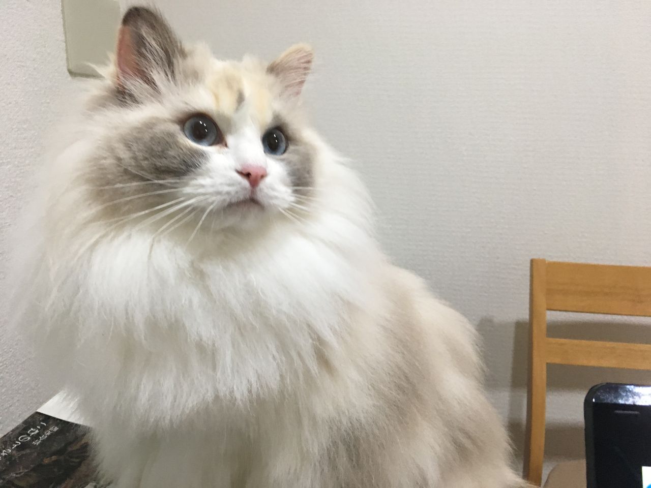 イメージ 5