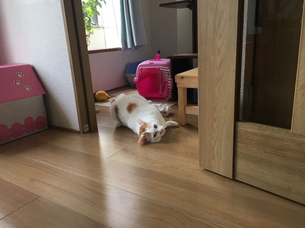 イメージ 3