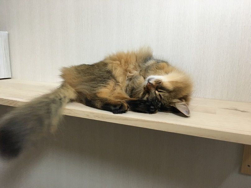 イメージ 4