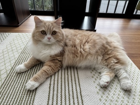 IMG_1821