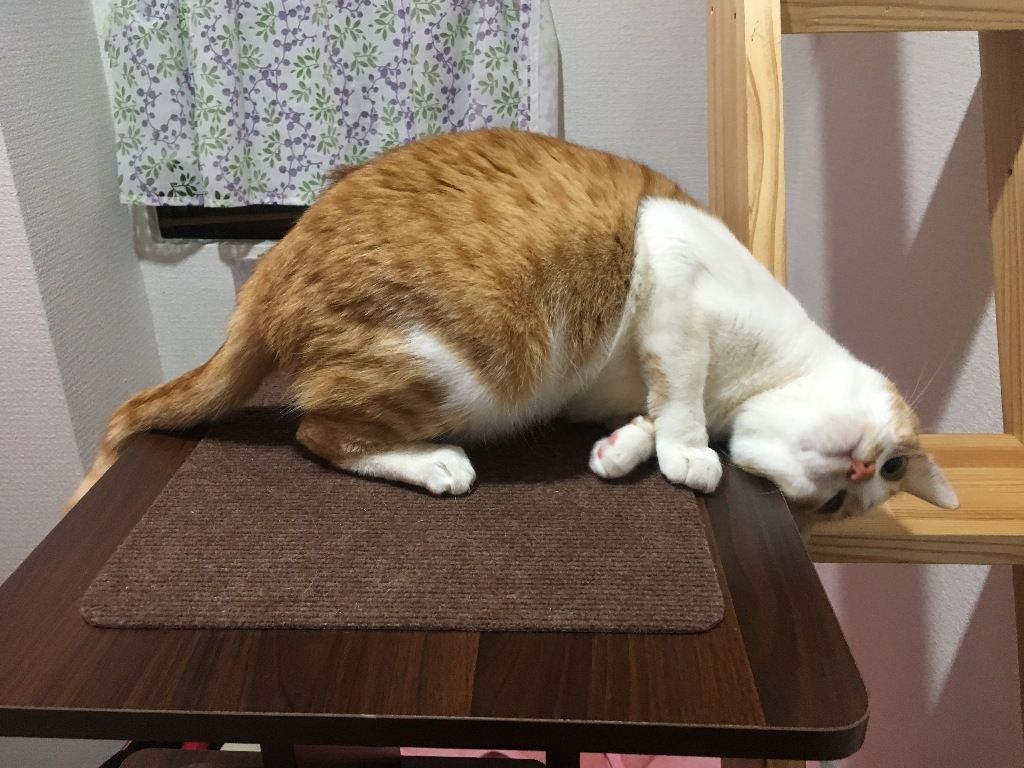 イメージ 3