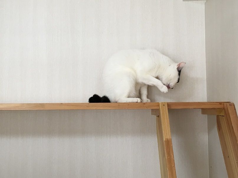 イメージ 3