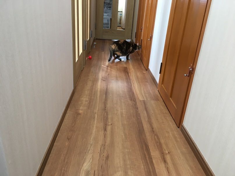 イメージ 5