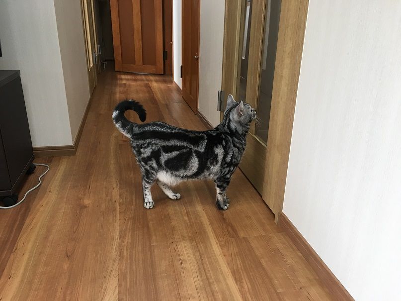 イメージ 5