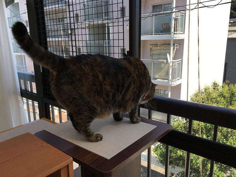 イメージ 2
