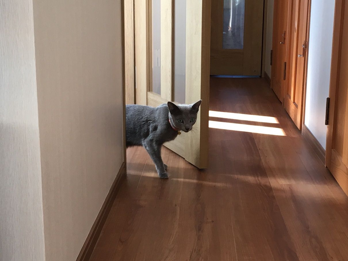 イメージ 4