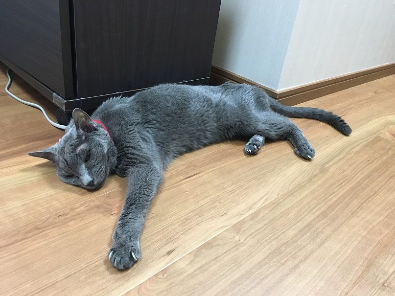 イメージ 3