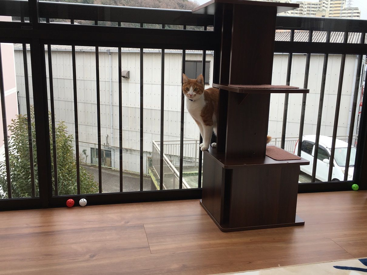 イメージ 3