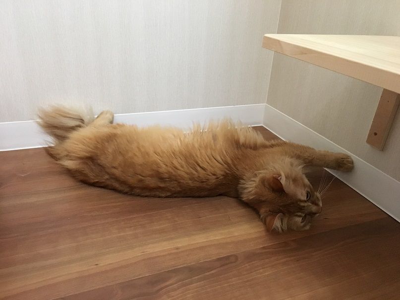 イメージ 5