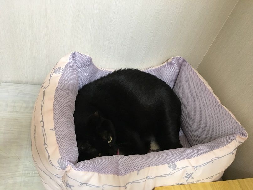イメージ 4
