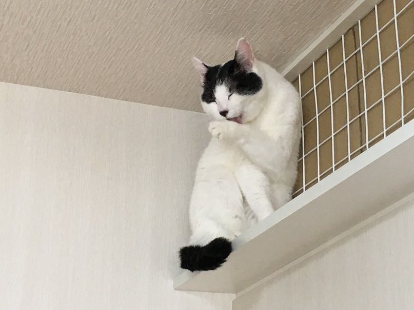 イメージ 3