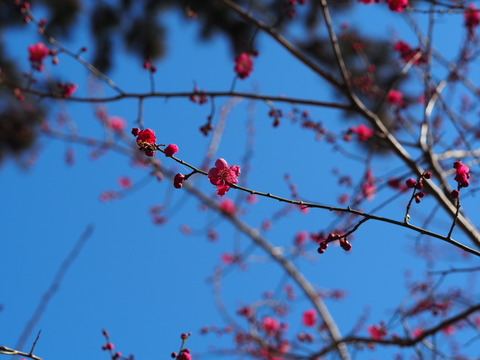 P2110397