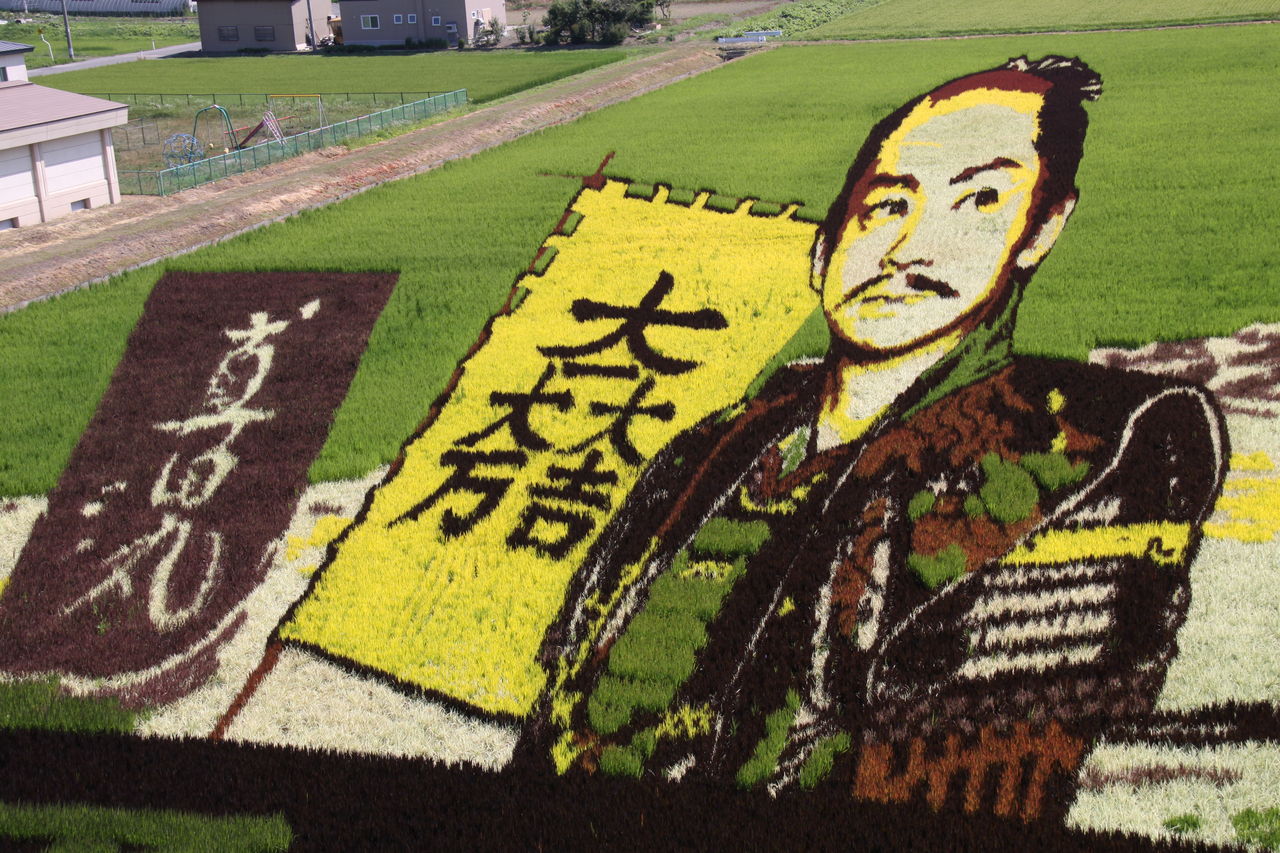 10年ぶりの東北旅行 この芸術に出会えたことが青天の霹靂 田んぼアート の第一会場 Griefwalker Laughmaker 10年ぶりの東北旅行 この芸術に出会えたことが青天の霹靂 田んぼアート の第一会場 Griefwalker Laughmaker