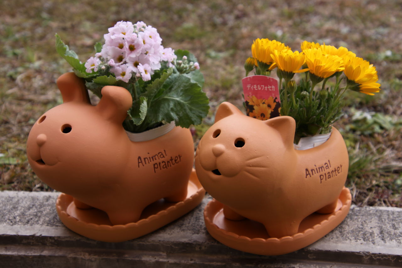 一目惚れして購入 アニマルプランターがめっちゃ可愛い Griefwalker Laughmaker