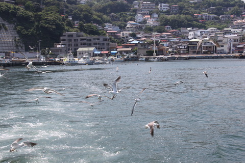 IMG_7500