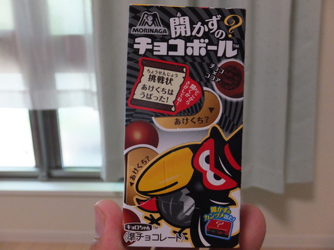 DSCF4574