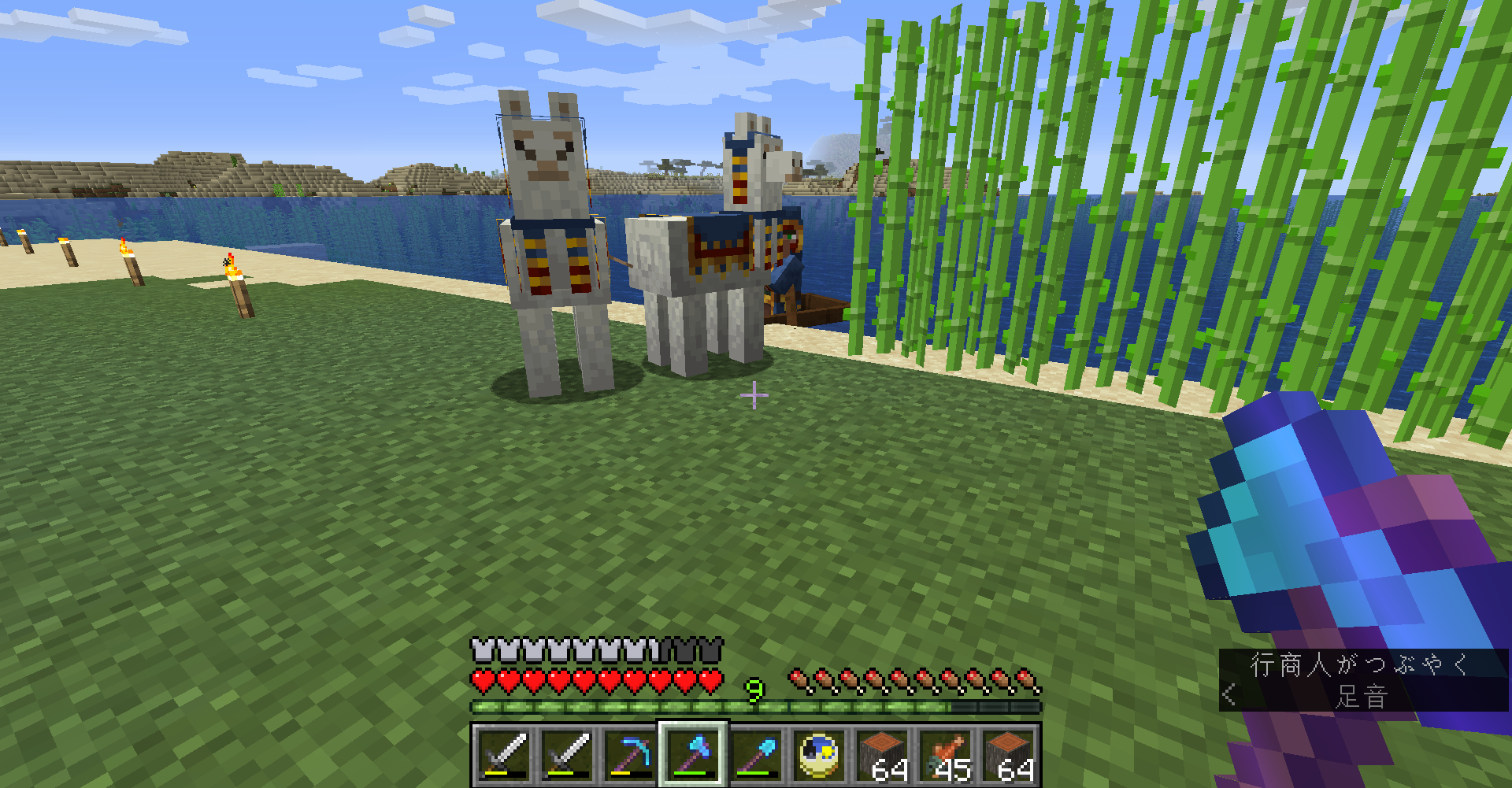 マイクラ 28 ちょっとネザーを覗いてみる どうやら多趣味のようでして