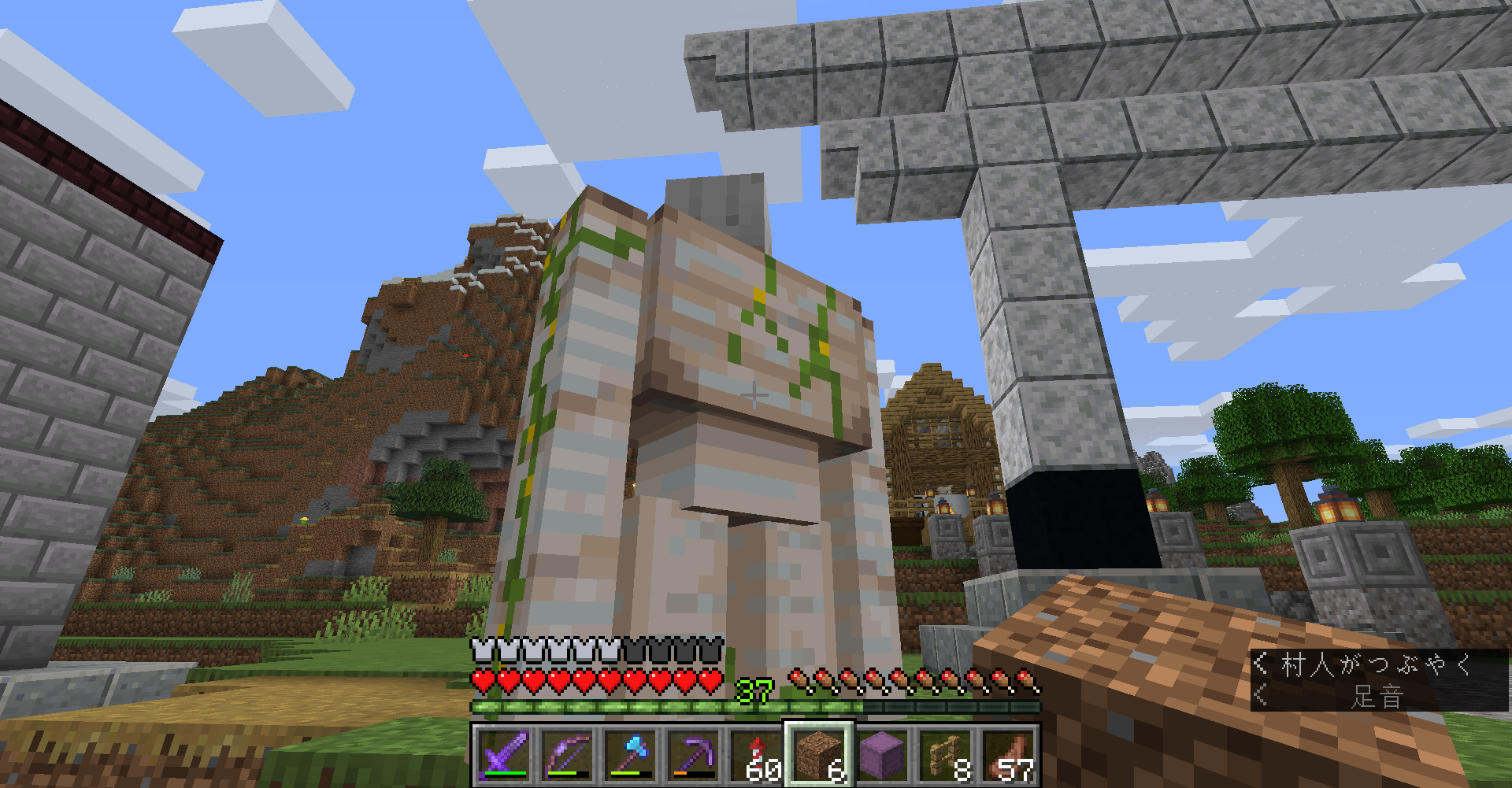 マイクラ 司書村を整地 どうやら多趣味のようでして