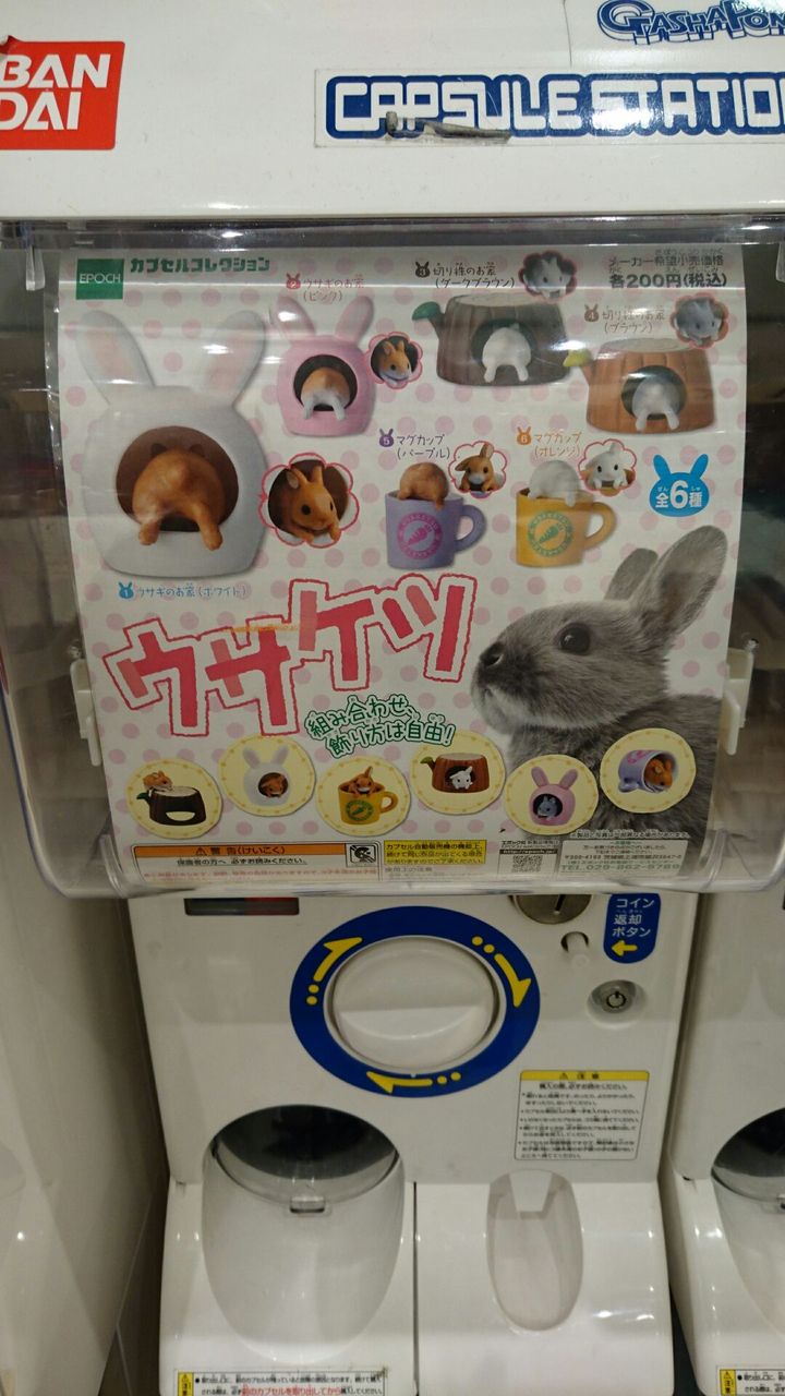 ウサケツ 黒うさぎのサンデーぶろぐ ウサケツ 黒うさぎのサンデーぶろぐ