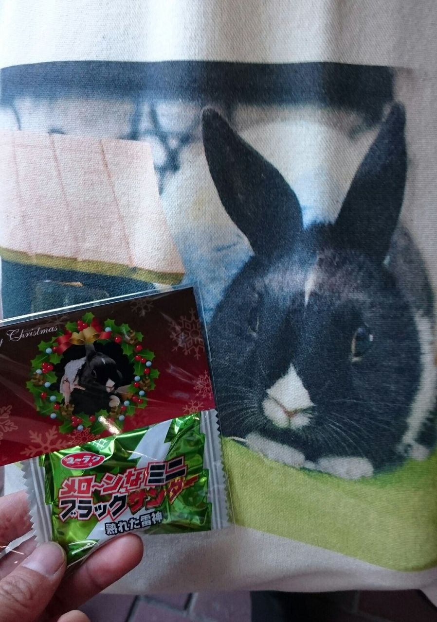 うさフェスタに行ってきました ３ 会場で会ったうさぎさん 黒うさぎのサンデーぶろぐ