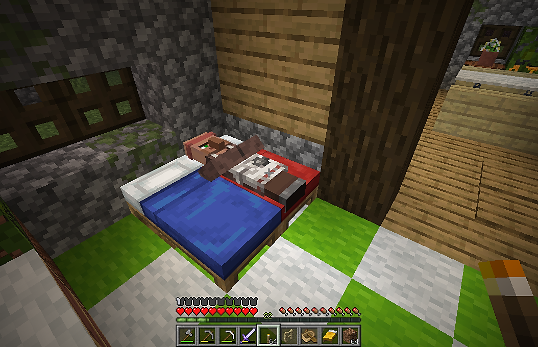 ムラゾンさんの職業は あんずのマイクラ王国建設記