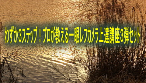 SnapCrab_NoName_2025-10-16_0-46-3_No-00