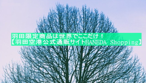 SnapCrab_NoName_2025-10-13_17-58-50_No-00