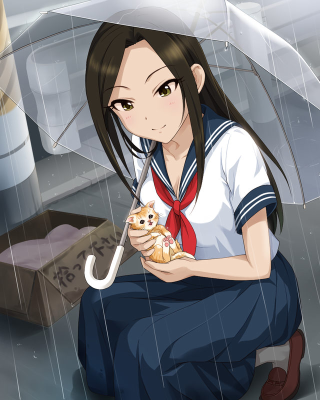 枠なし 向井拓海 デレマス画像まとめ シンデレラガールズについての簡潔な報告