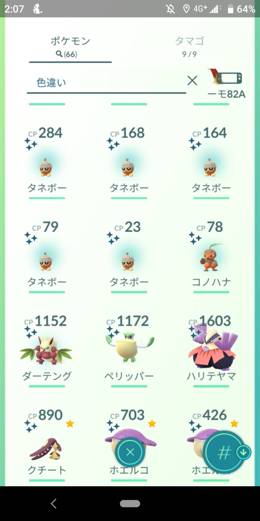 コミュニティデイ タネボー あんぱんの日々 コミュニティデイ タネボー あんぱんの日々