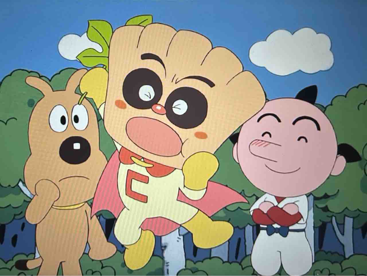活動歴および当時の関連ビジュアル記録