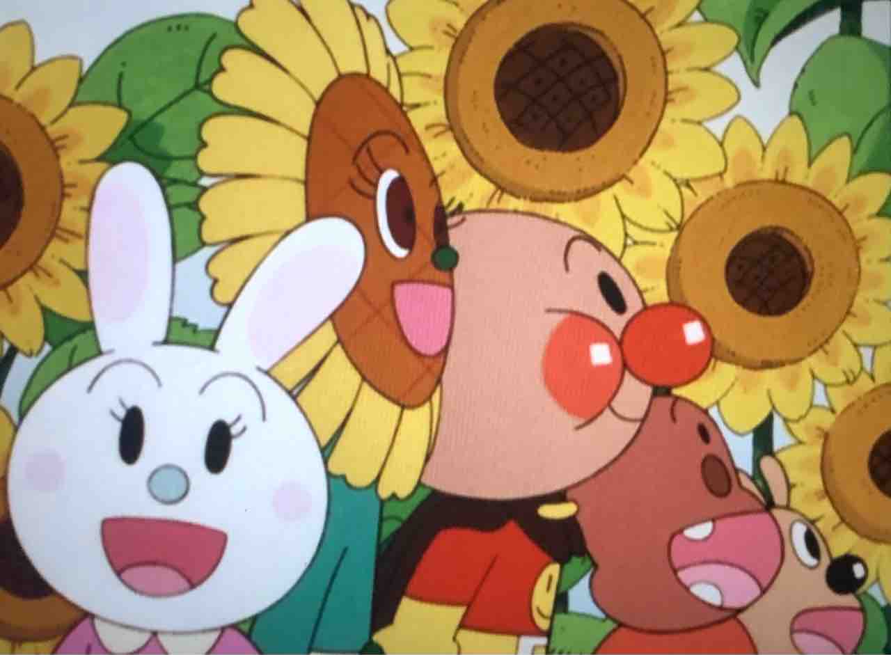 ひまわりちゃん 【公式通販】