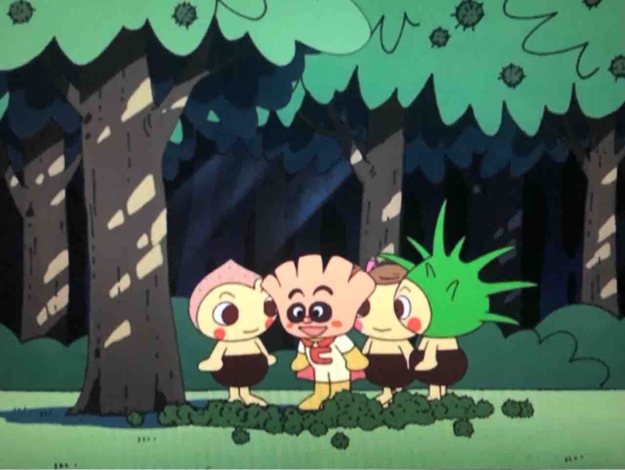 アンギトンのリーフレット