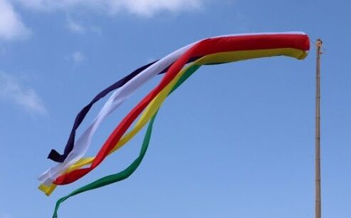 こいのぼりの吹き流し 安楽院 まこと保育園 ハチマキ仁海のブログ