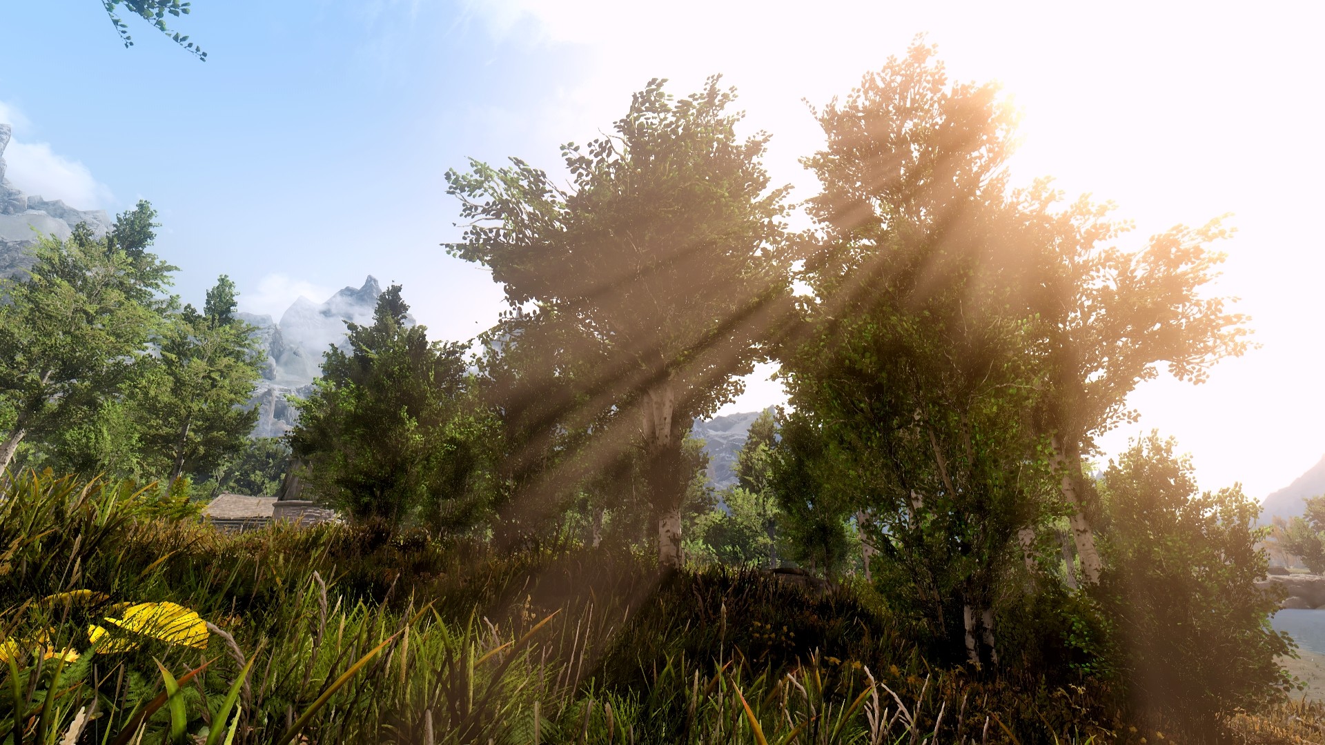 Skyrim Enb再構築とmod紹介 らいふぃずふり だむ2号