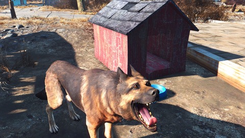 Fallout4 2015-11-19 12-52-04-97