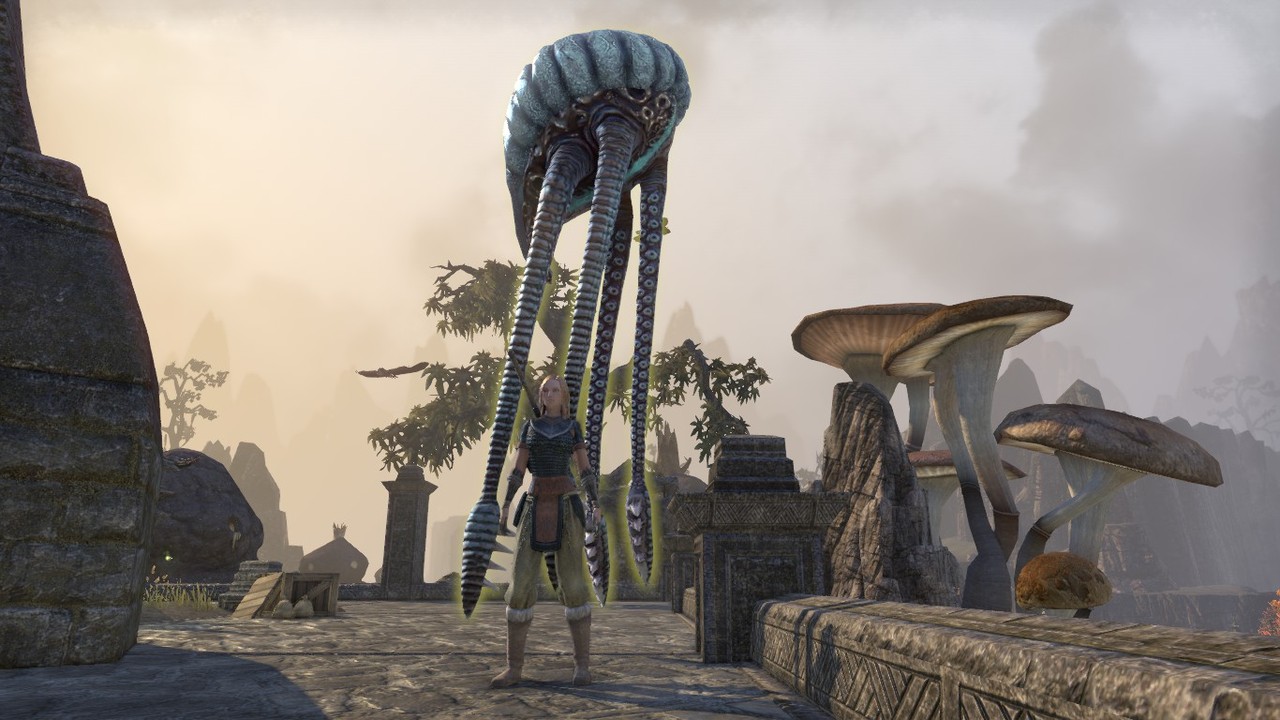 Teso The Elder Scrolls Online B参加しています らいふぃずふり だむ2号