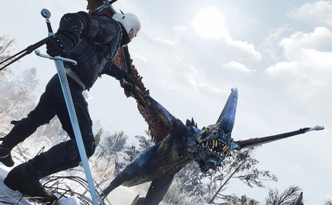 witcher3 2016-12-04 02-13-24-39