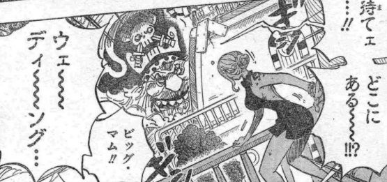 ワンピース 第878話 ミンク族侠客団 団長ペドロ 漫画やアニメのネタバレ