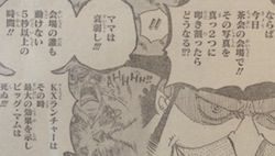 onepiece ワンピース 第859話 四皇暗さつ作戦 漫画やアニメのネタバレ