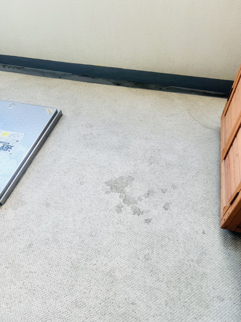 ベランダ掃除でスッキリ ベランダに新しく仲間入りしたモノ An S日和 気切っ子育児と日々のくらし