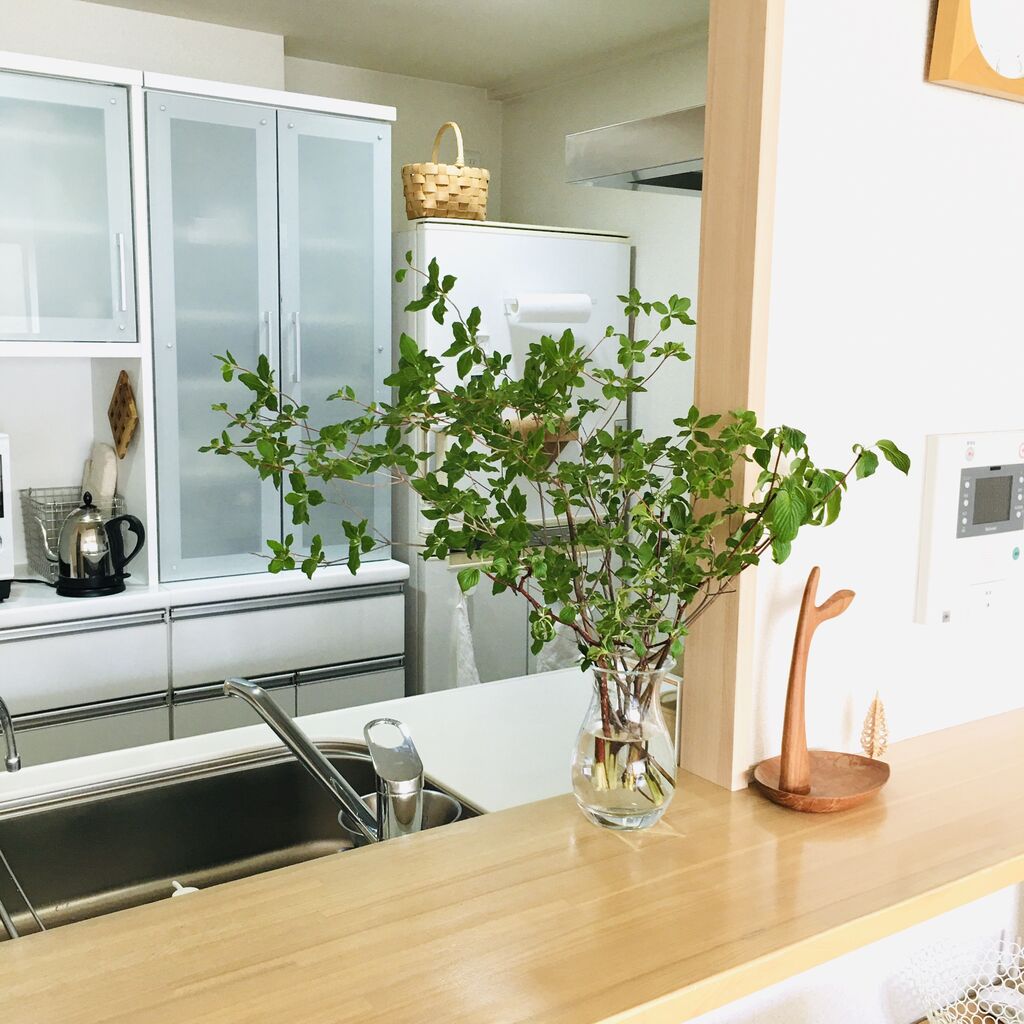 ドウダンツツジ飾ってみました スタッキングシェルフとも相性バツグン An S日和 気切っ子育児と日々のくらし