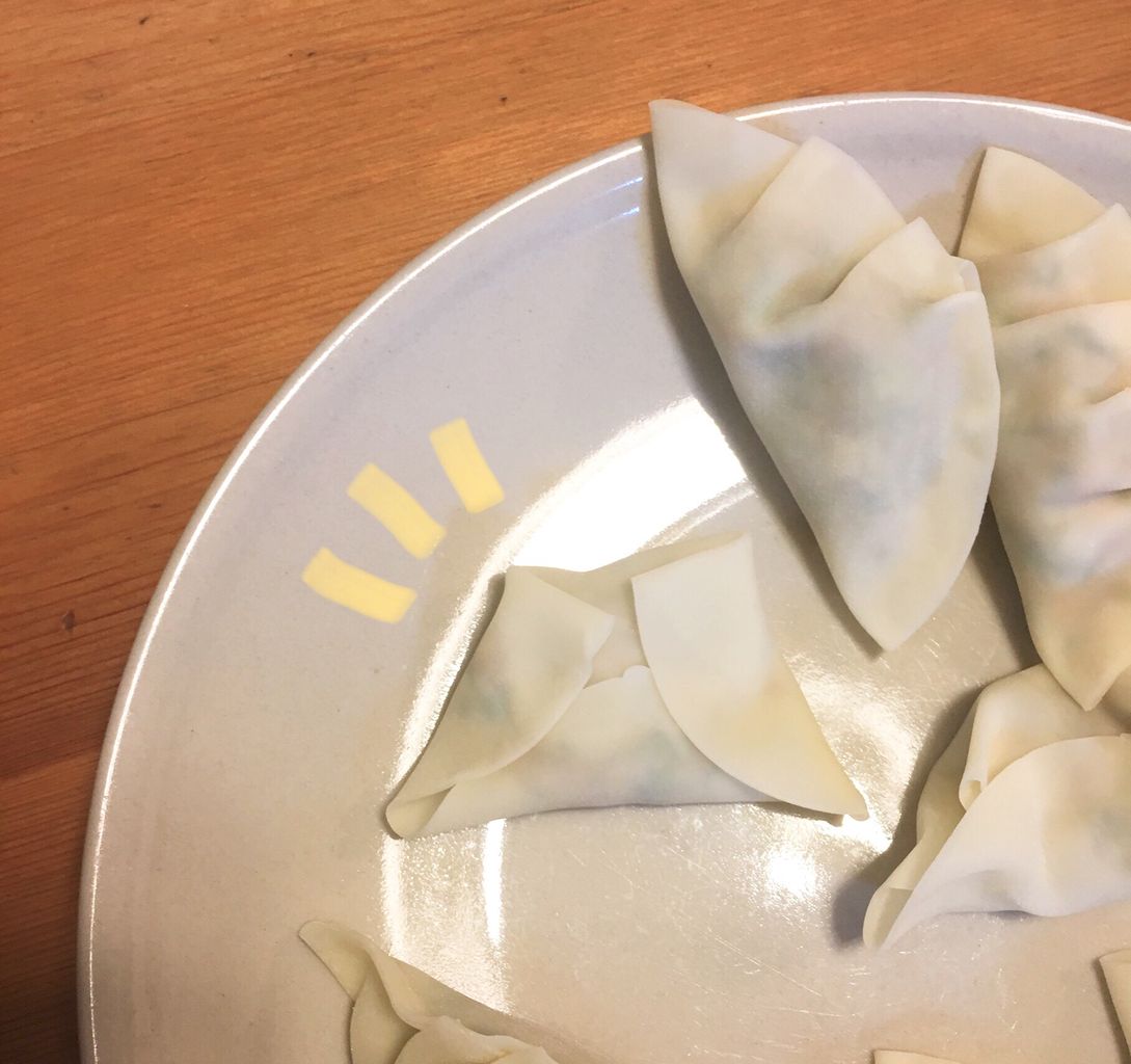 富士山型の餃子 An S日和 気管切開児の子育て 暮らし