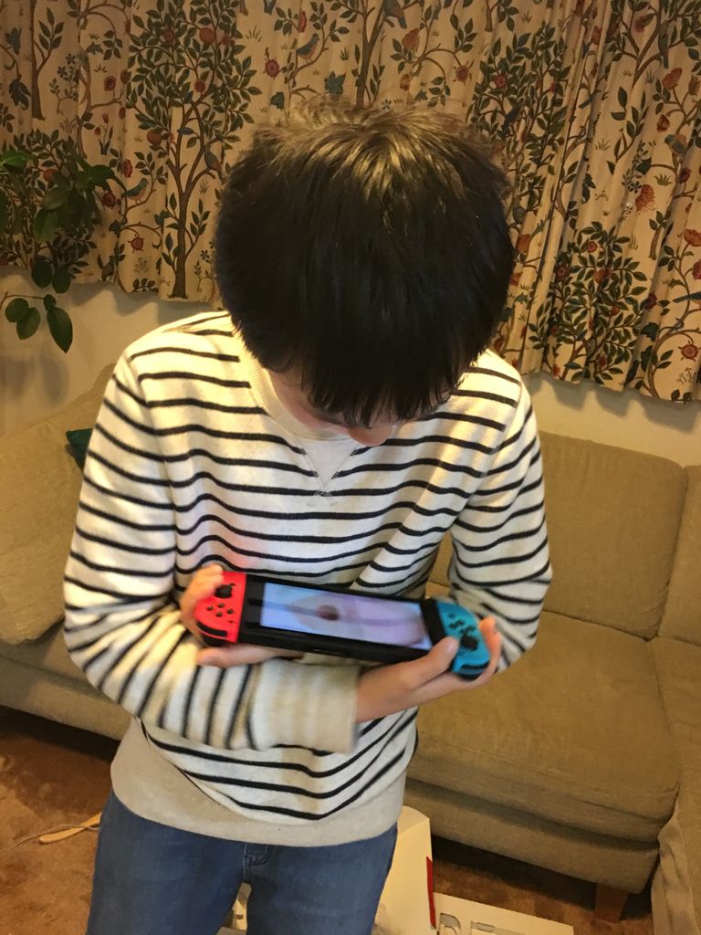 Nintendo Switch ニンテンドースイッチ 届きました An S日和 気切っ子育児と日々のくらし Nintendo Switch ニンテンドースイッチ 届きました An S日和 気切っ子育児と日々のくらし