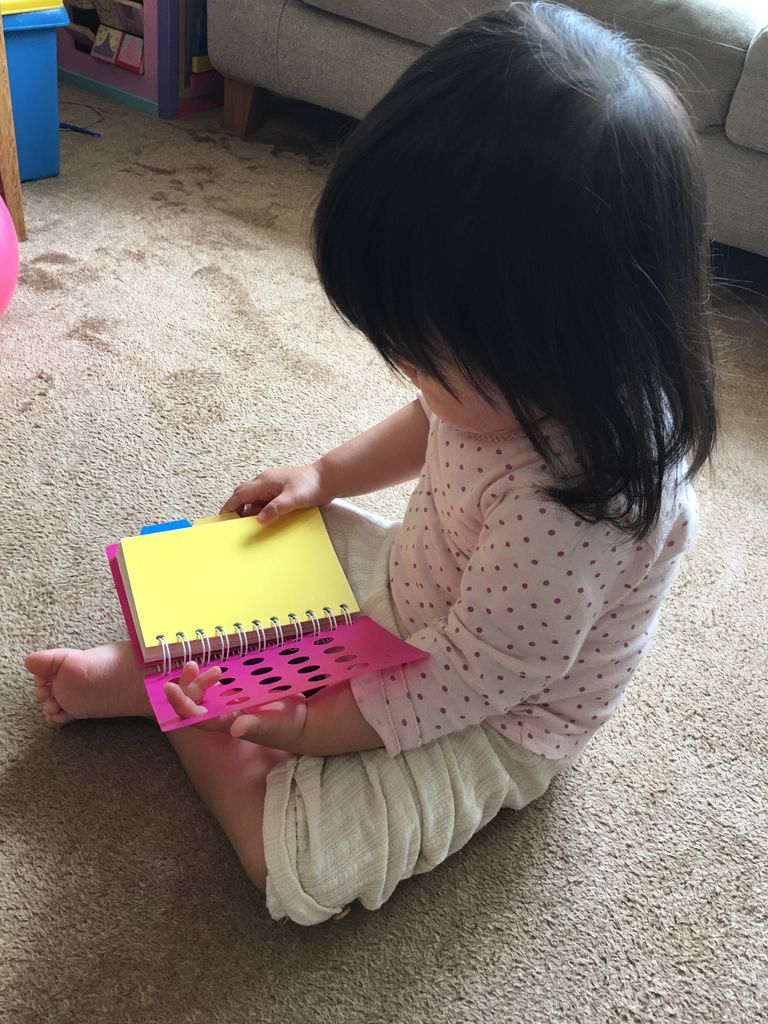 怪盗グルーの月泥棒で グルーが子供たちに読んでいた猫の絵本 An S日和 気切っ子育児と日々のくらし