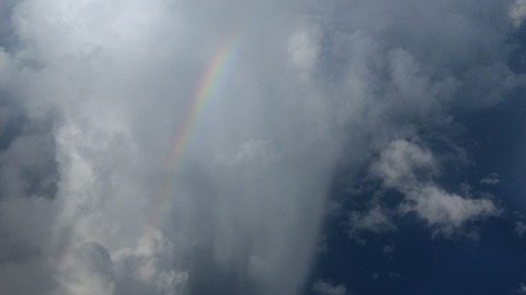 DSC_0748