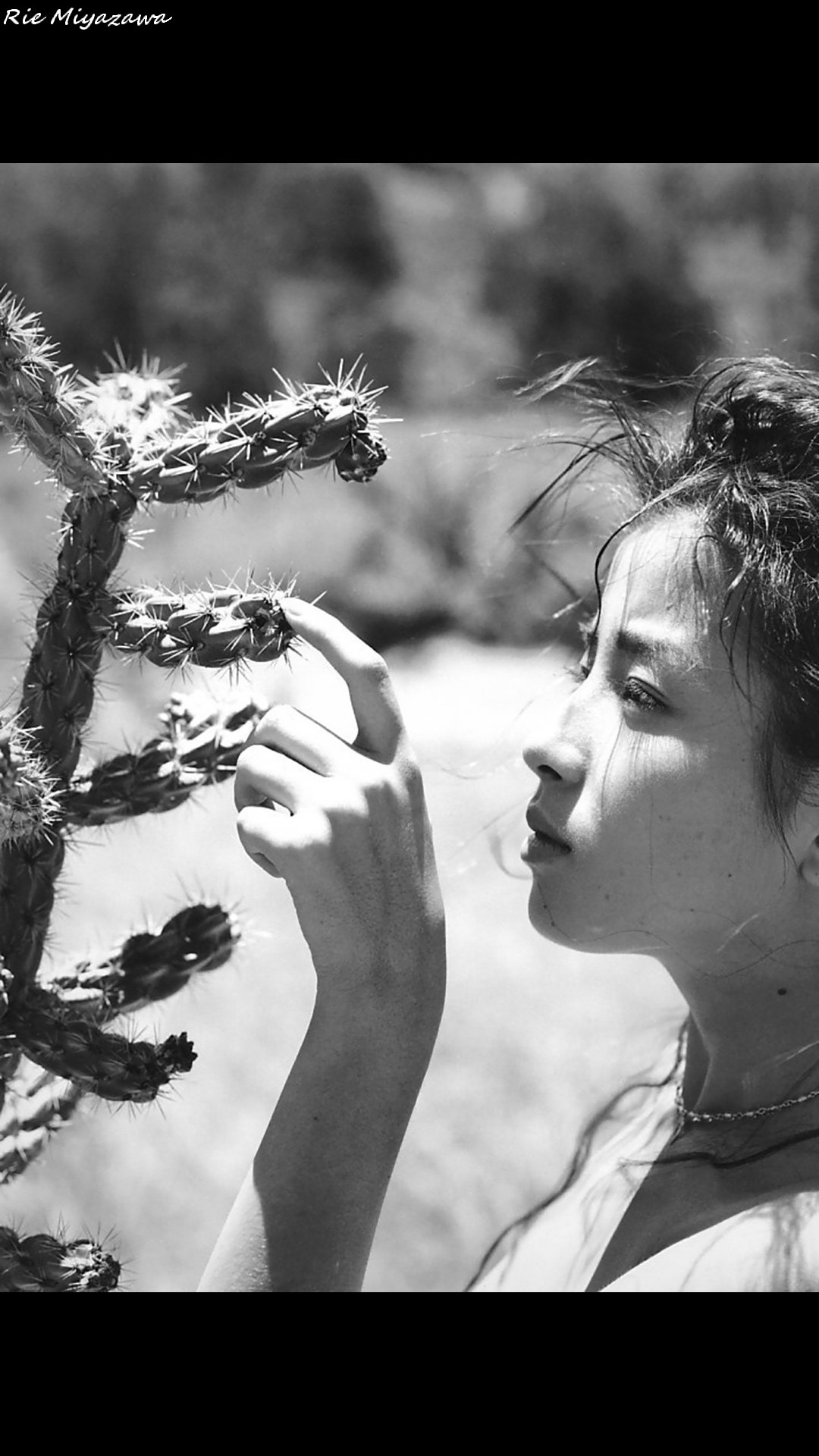 Slideshow rie miyazawa nude 