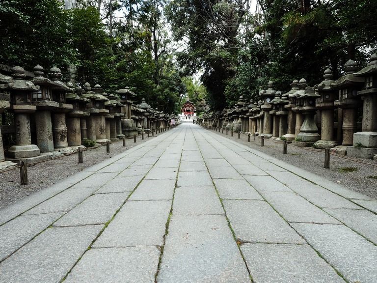 近所の神社にゴザひいてその上に古い書物がたくさん並べてあった