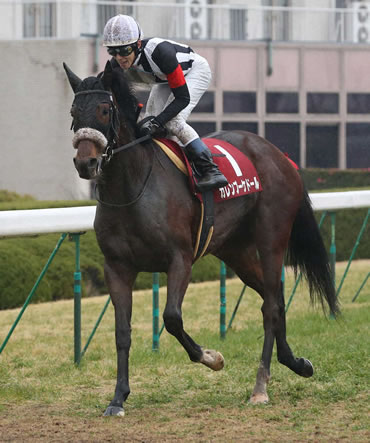 【競馬予想】[1]第66回 産経賞オールカマー(G2) /2020