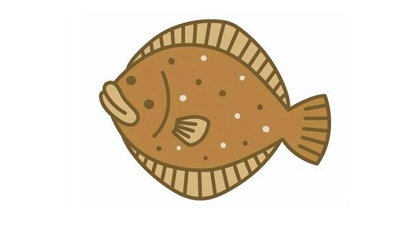 実家の隣に住んでる独り身の年配のお爺さんにヒラメをおすそわけした結果