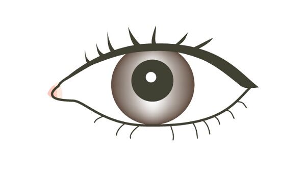 レーシックが開発されて数十年？経っているのにまだメガネの眼医者がいる意味を考えてしまう。実際にレーシックを受けた眼医者はいるの？